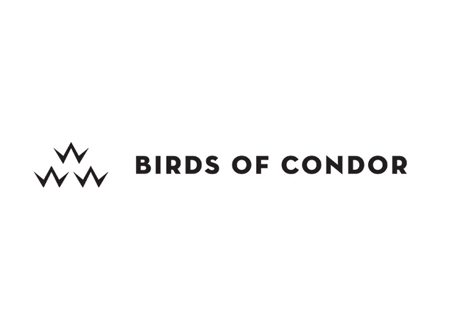 BIRDS OF CONDOR